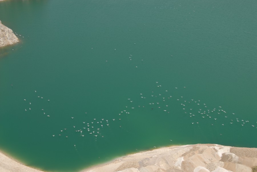 Bird life at K80 lake in Grecian Magnesite Yerakini mines